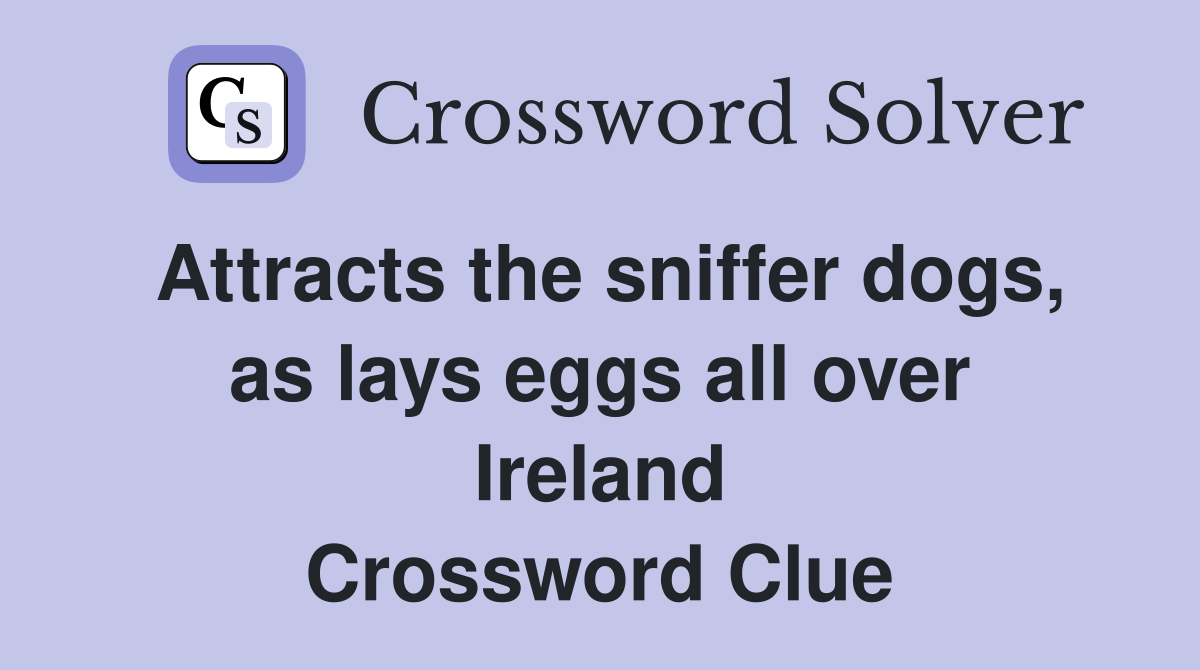 Attracts the sniffer dogs, as lays eggs all over Ireland Crossword